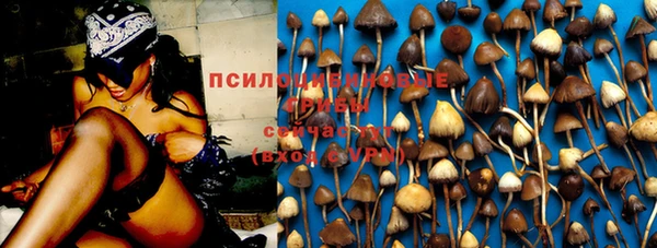 хмурый Михайловка